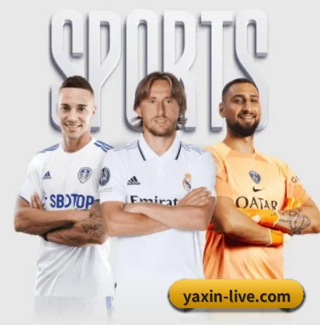 亚新体育 APP 界面 - yaxin